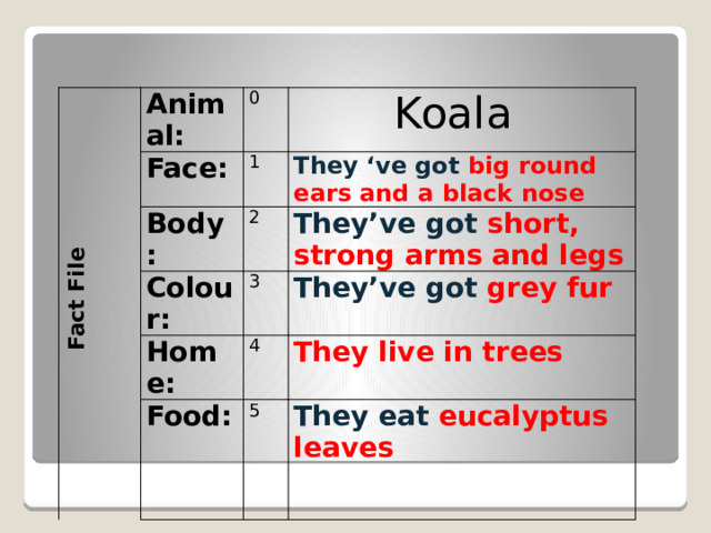  Fact File Animal: 0 Face: Koala 1 Body: They ‘ve got big round ears and a black nose 2 Colour: Home: They’ve got short, strong arms and legs 3 They’ve got grey fur 4 Food: They live in trees 5 They eat eucalyptus leaves 