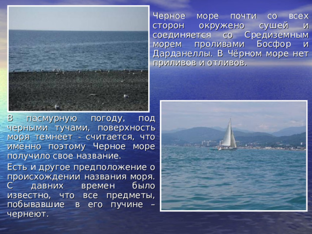 Проект про черное море 4 класс