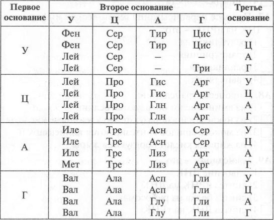 Определите последовательность аминокислот во фрагменте. Таблица генетического кода знаки препинания. Впервые аминокислотная последовательность была расшифрована для. Сткакого конца читатсч ИРНК.