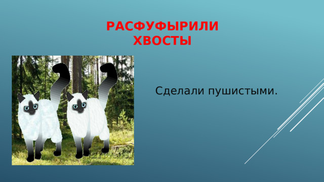 Расфуфырили