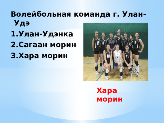 Волейбольная команда г. Улан-Удэ 1.Улан-Удэнка 2.Сагаан морин 3.Хара морин Хара морин 