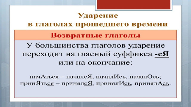 Ударение в словах перезвонит оптовый клала намерение