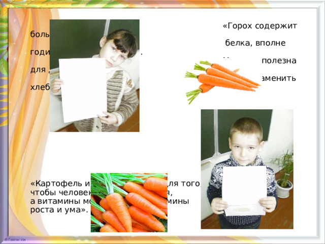  «Горох содержит большое количество  белка, вполне годится для замены мяса.  Морковь полезна для десен. Картофель  может заменить хлеб». «Картофель и морковь нужны для того, чтобы человек хорошо двигался, а витамины моркови - это витамины роста и ума». 