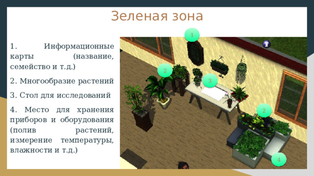 Зеленая зона 1 1. Информационные карты (название, семейство и т.д.) 2. Многообразие растений 3. Стол для исследований 4. Место для хранения приборов и оборудования (полив растений, измерение температуры, влажности и т.д.) 2 3 2 4 