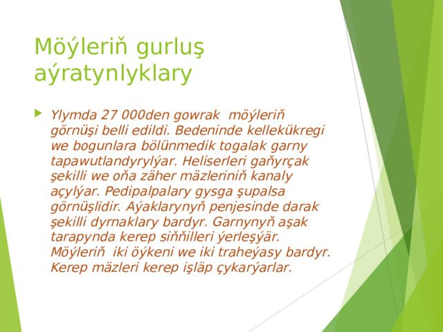 Möýleriň gurluş aýratynlyklary Ylymda 27 000­den gowrak möýleriň görnüşi belli edil­di. Bedeninde kellekük r e g i we bogunlara bölünmedik togalak garny tapawutlandyrylýar . Heliserleri gaňyrçak şekil l i we oňa zäher mäzleriniň kanaly açylýar. Pedipalpalary gysga şupalsa görnüşlidir. Aýaklarynyň penjesinde darak şekilli dyrnaklary bardyr. Garnynyň aşak tarapynda kerep siňňilleri ýerleşýär. Möýleriň­ iki öýkeni we iki traheýasy bardyr. Kerep mäzleri kerep iş läp çykarýarlar. 