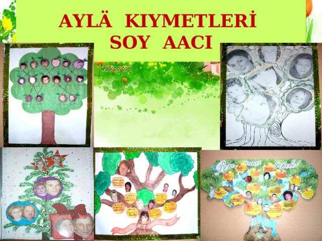 AYLÄ KIYMETLERİ  SOY AACI 