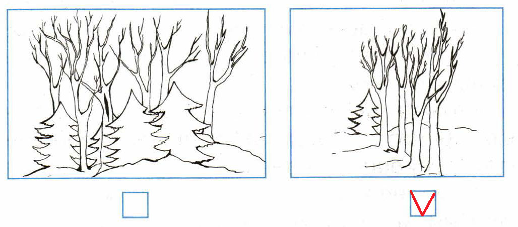 Отметь иллюстрацию. Отметь иллюстрацию на которой изображен перелесок. Перелесок отметь иллюстрацию. Отметь иллюстрацию на которой изображена чащоба. Перелесок рисунок.