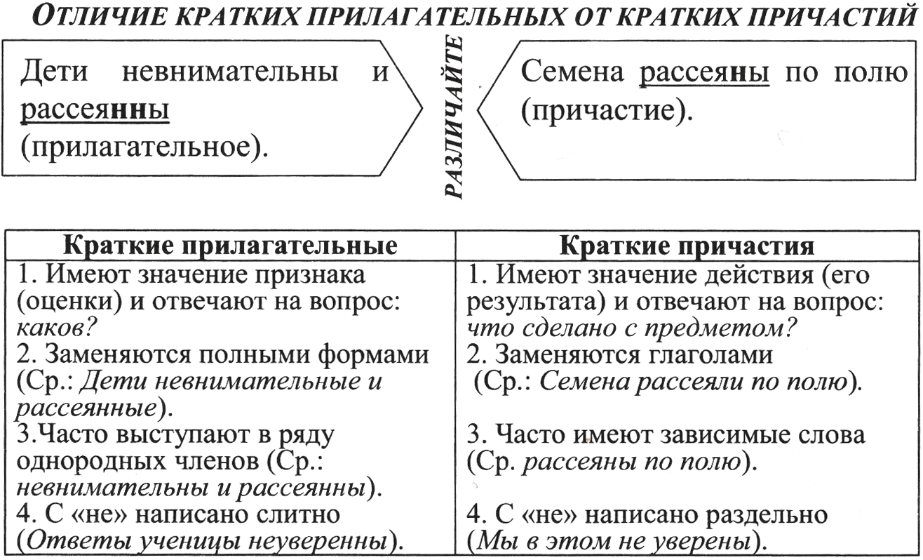 РАБОЧАЯ ТЕТРАДЬ по теме: Орфография