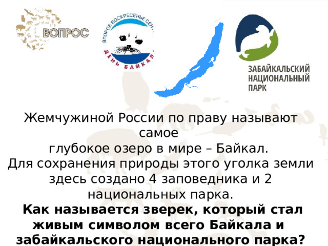 Жемчужиной России по праву называют самое глубокое озеро в мире – Байкал. Для сохранения природы этого уголка земли здесь создано 4 заповедника и 2 национальных парка.  Как называется зверек, который стал живым символом всего Байкала и забайкальского национального парка? 