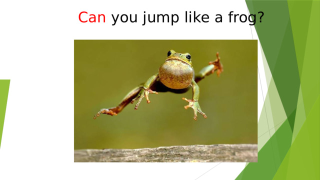 Can  you jump like a frog? 