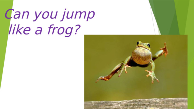 Can you jump  like a frog? 