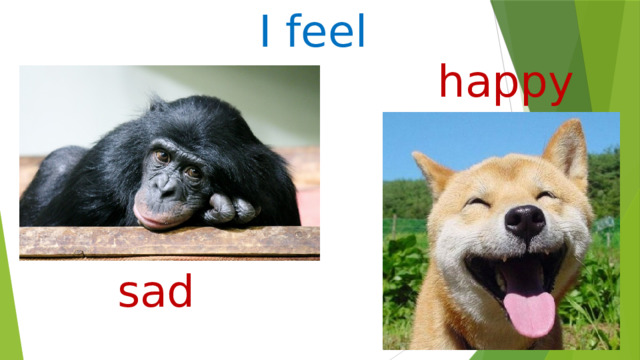 I feel happy sad 