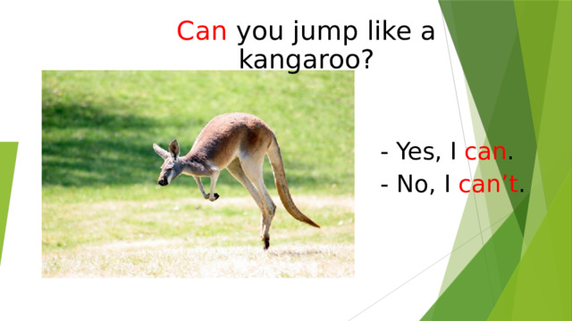 Can  you jump like a kangaroo? - Yes, I can . - No, I can’t . 