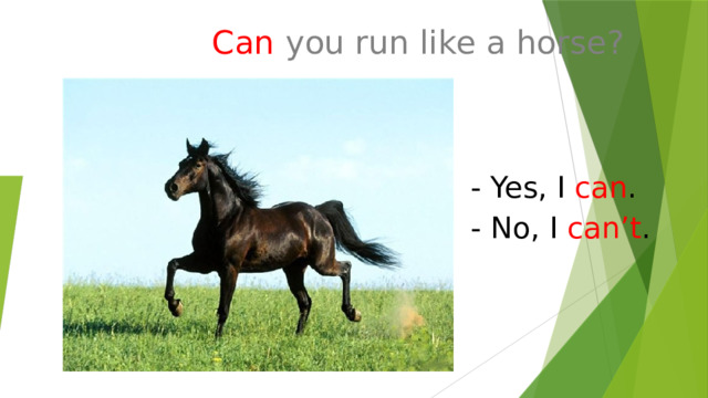 Can  you run like a horse? - Yes, I can . - No, I can’t . 
