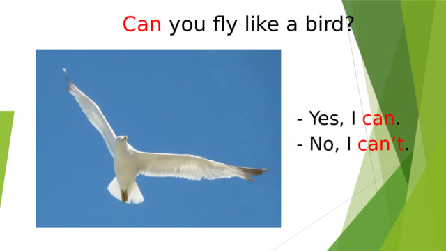Can  you fly like a bird? - Yes, I can . - No, I can’t . 