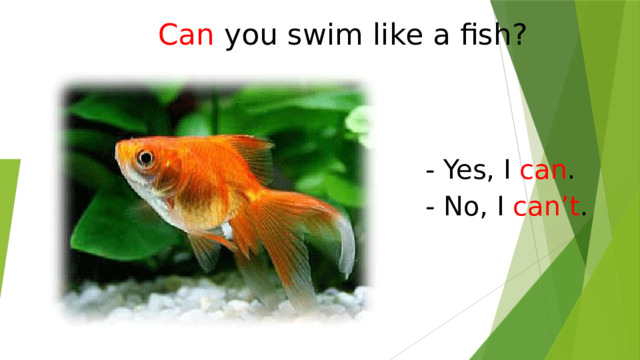 Can  you swim like a fish? - Yes, I can . - No, I can’t . 