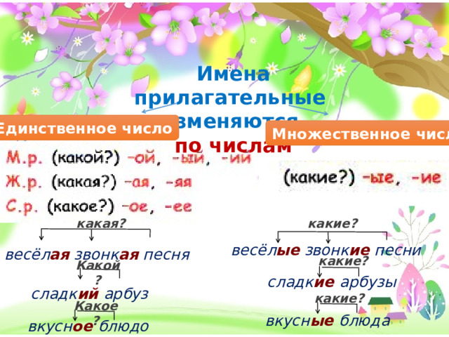 Имена прилагательные изменяются по числам Единственное число Множественное число какие? какая? весёл ые звонк ие песни весёл ая звонк ая песня какие? Какой? сладк ие арбузы сладк ий арбуз какие? Какое? вкусн ые блюда вкусн ое блюдо 