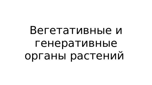 Вегетативные и генеративные органы растений 
