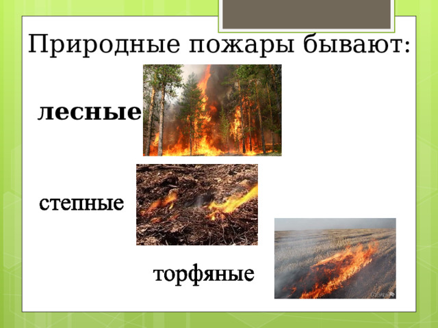 Природные пожары бывают:       лесные 