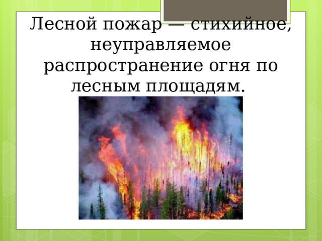 Лесной пожар — стихийное, неуправляемое распространение огня по лесным площадям.   