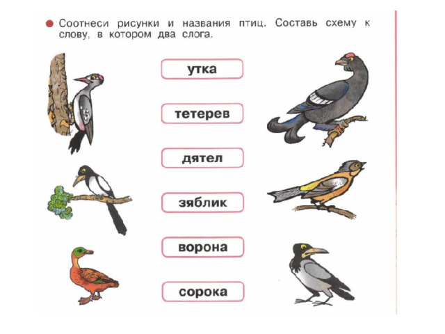 Соотнеси изображение с названием