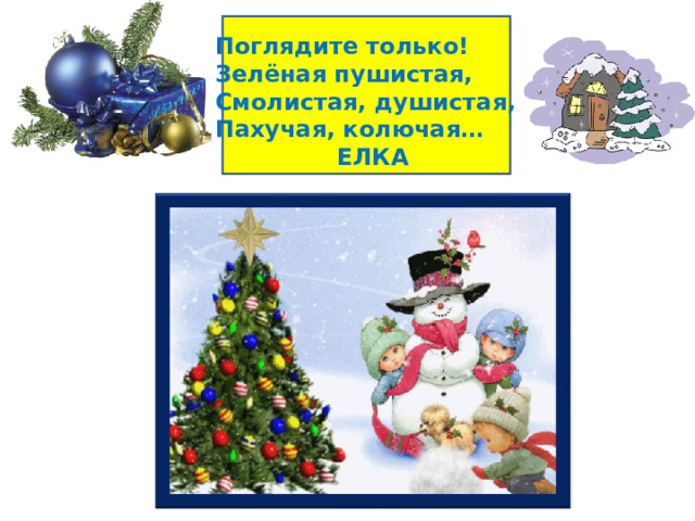 Поглядите только! Зелёная пушистая, Смолистая, душистая, Пахучая, колючая…  ЕЛКА 