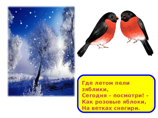 Где летом пели зяблики, Сегодня – посмотри! – Как розовые яблоки, На ветках снегири.  