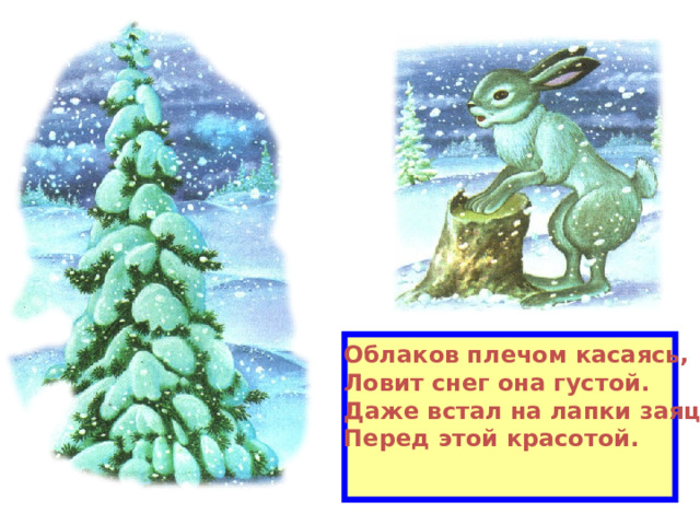 Облаков плечом касаясь, Ловит снег она густой. Даже встал на лапки заяц Перед этой красотой.  