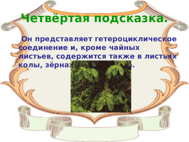 Четвёртая подсказка.  Он представляет гетероциклическое соединение и, кроме чайных листьев, содержится также в листьях колы, зёрнах какао и кофе. 