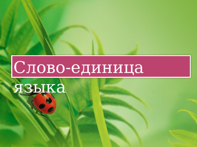 Слово-единица языка 