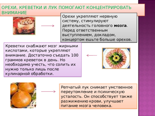 ОРЕХИ, КРЕВЕТКИ И ЛУК ПОМОГАЮТ КОНЦЕНТРИРОВАТЬ ВНИМАНИЕ Орехи укрепляют нервную систему, стимулируют деятельность головного мозга . Перед ответственным выступлением, докладом, концертом ешьте больше орехов. Креветки снабжают мозг жирными кислотами, которые укрепляют внимание. Достаточно съедать 100 граммов креветок в день. Но необходимо учесть, что солить их нужно только лишь после кулинарной обработки. Репчатый лук снимает умственное переутомление и психическую усталость. Он способствует также разжижению крови, улучшает питание мозга человека. 