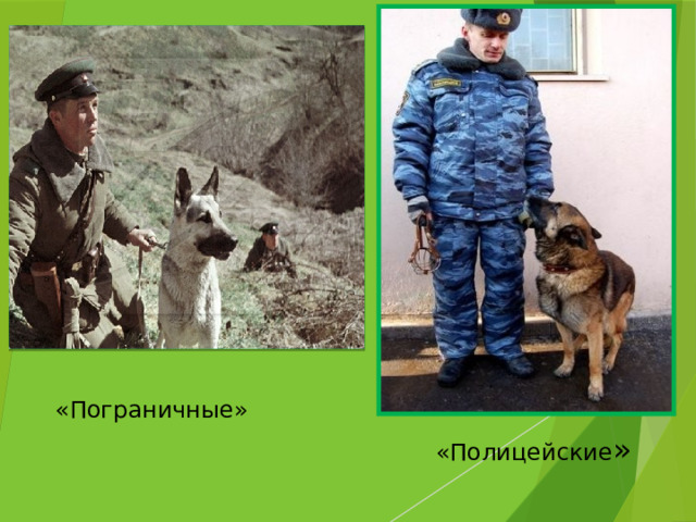 «Пограничные» «Полицейские »  