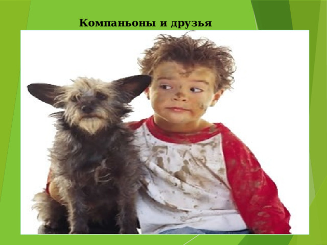  Компаньоны и друзья 
