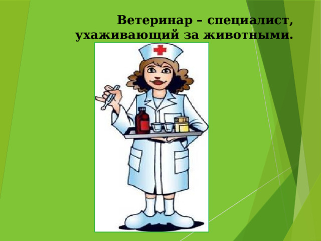 Ветеринар – специалист, ухаживающий за животными. 