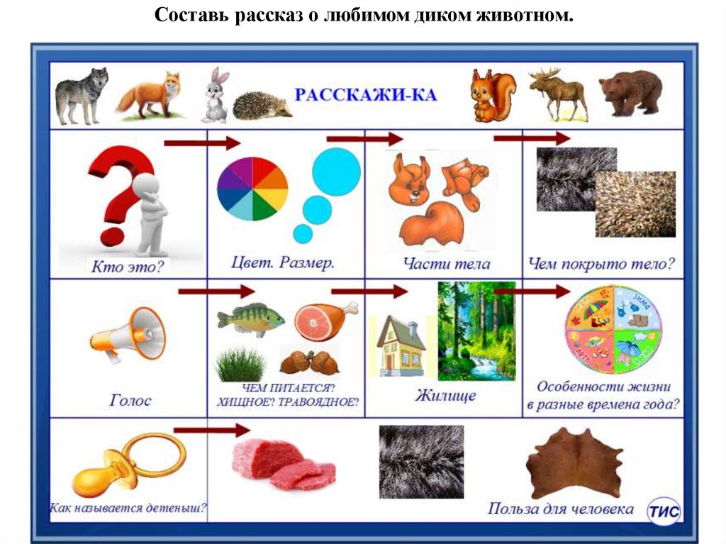 Схема рассказа о животном для дошкольников