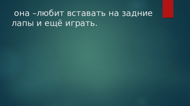  она –любит вставать на задние лапы и ещё играть. 