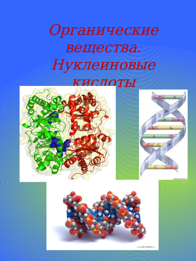 Органические вещества. Нуклеиновые кислоты 