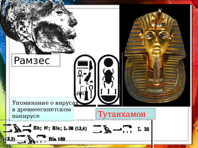 Рамзес Упоминание о вирусах в древнеегипетском папирусе Тутанхамон 