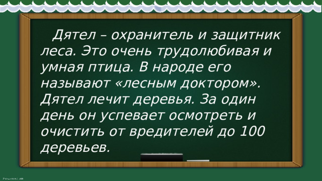  Дятел – охранитель и защитник леса. Это очень трудолюбивая и умная птица. В народе его называют «лесным доктором». Дятел лечит деревья. За один день он успевает осмотреть и очистить от вредителей до 100 деревьев. 