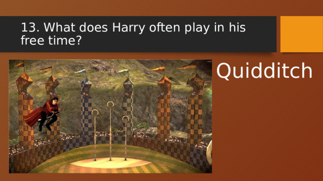 13. What does Harry often play in his free time? Quidditch 