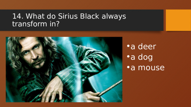14. What dо Sirius Black always transform in? a deer a dog a mouse 