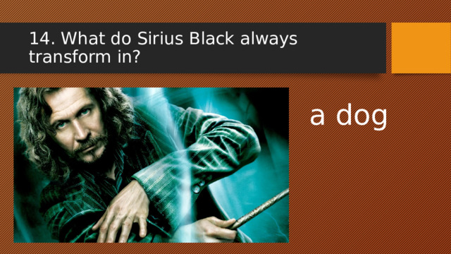 14. What dо Sirius Black always transform in?  a dog 