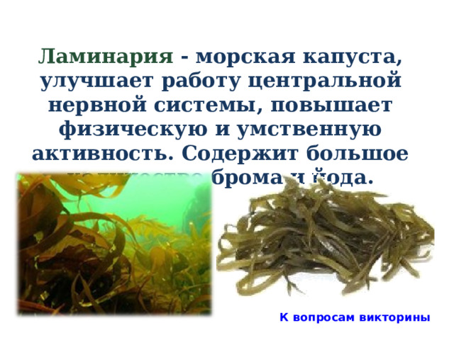 Ламинария - морская капуста, улучшает работу центральной нервной системы, повышает физическую и умственную активность. Содержит большое количество брома и йода.  К вопросам викторины 