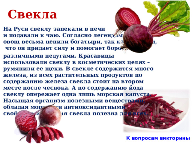 Свекла На Руси свеклу запекали в печи и подавали к чаю. Согласно легендам, этот овощ весьма ценили богатыри, так как считали,  что он придает силу и помогает бороться с различными недугами. Красавицы использовали свеклу в косметических целях – румянили ее щеки. В свекле содержится много железа, из всех растительных продуктов по содержанию железа свекла стоит на втором месте после чеснока. А по содержанию йода свеклу опережает одна лишь морская капуста. Насыщая организм полезными веществами, обладая мощными антиоксидантными свойствами красная свекла полезна для всех.  К вопросам викторины  