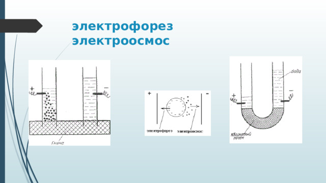 электрофорез электроосмос 