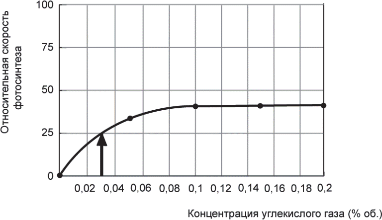 Повышение интенсивности углекислого газа