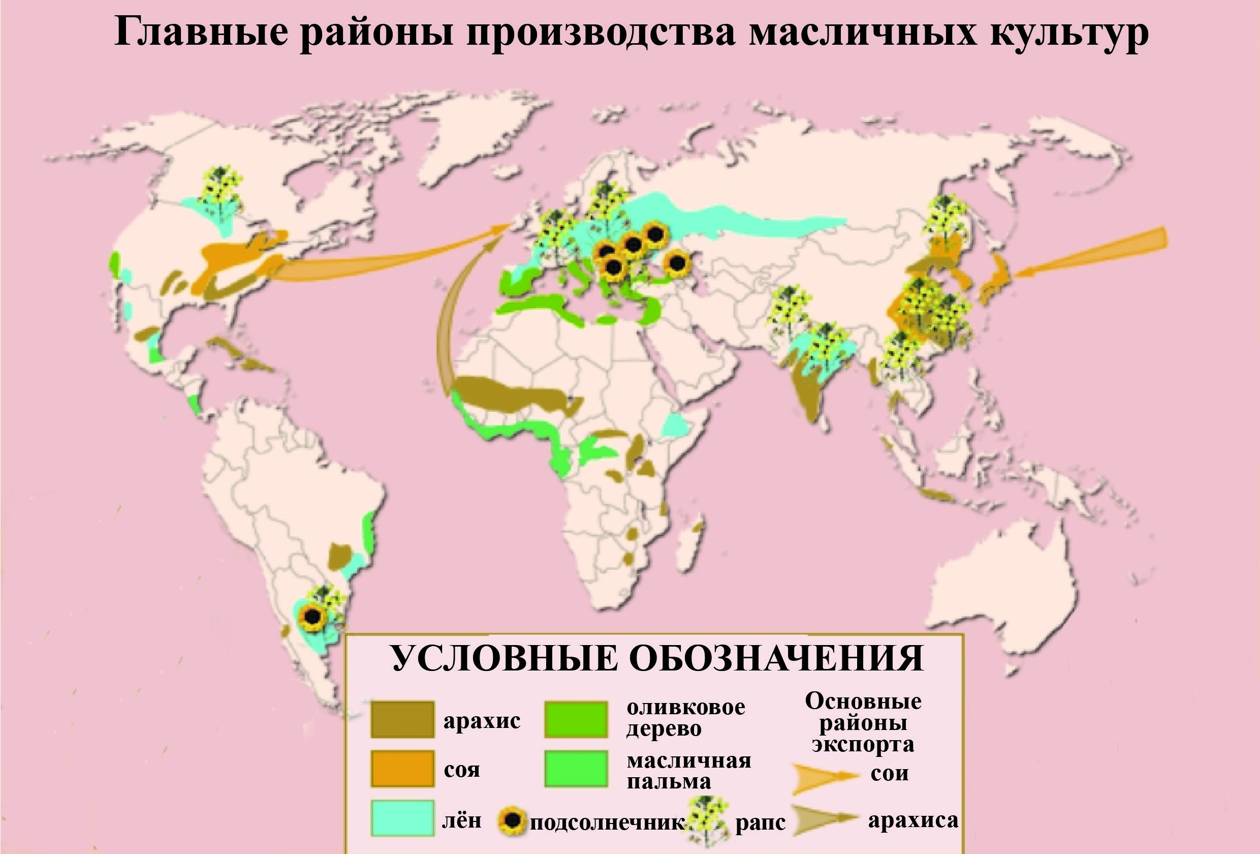 Страны известные лидирующие по выращиванию масличной пальмы