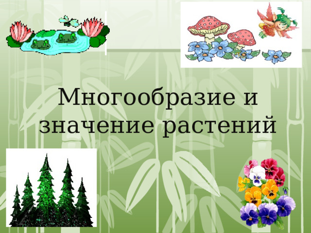 Многообразие и значение растений 