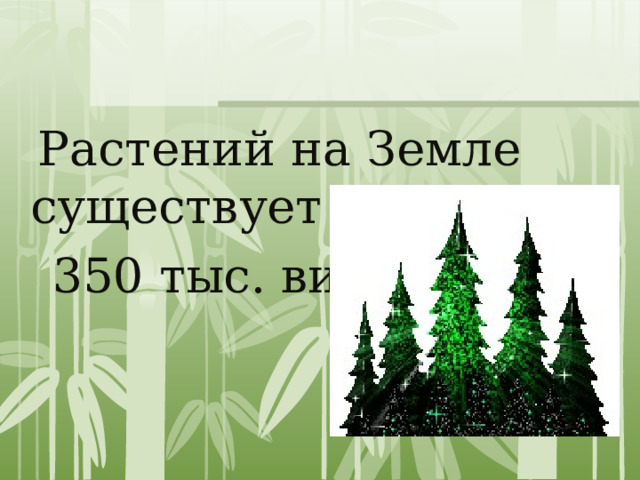  Растений на Земле существует более  350 тыс. видов 