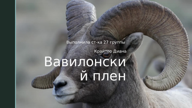 Выполнила ст-ка 27 группы Крайтор Диана Вавилонский плен 